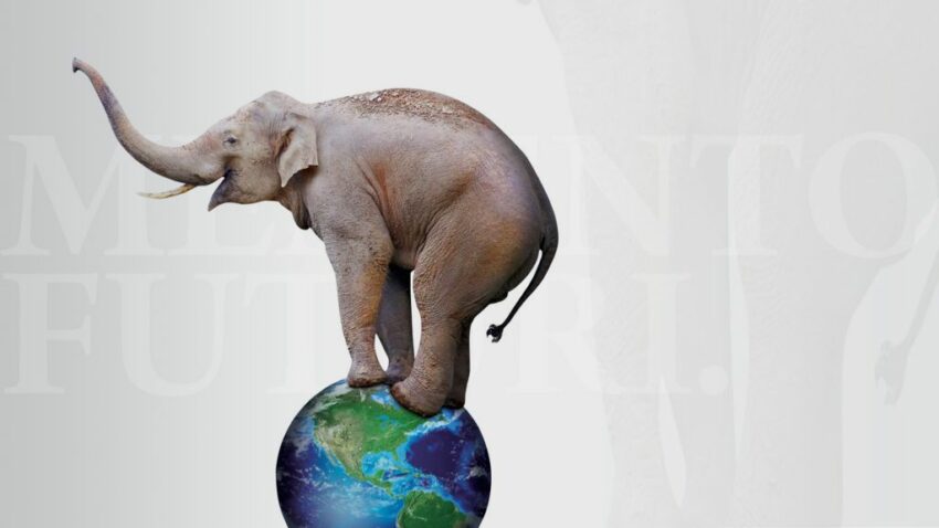 Tekening olifant op wereldbol
